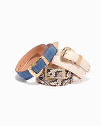 Partlow Belt